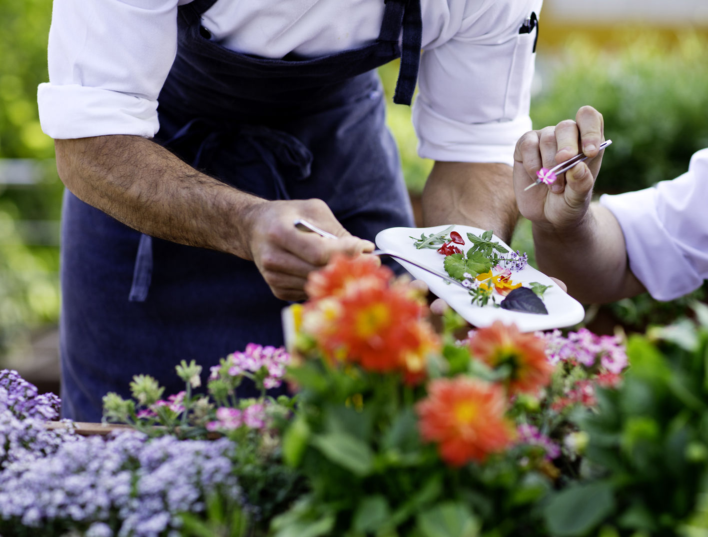 The Cookbook Gastro Boutique & 4* Calpe
